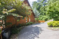 Luxury Log Cabin, View, Super Fast WiFi, NFL Sunday, Arcade, Fishing & 2 Pools!