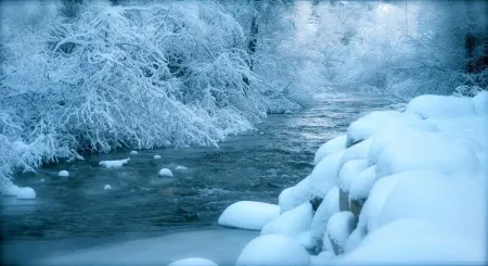 Private Cabin in beautiful Downtown Steamboat! BEST LOCATION in OLD TOWN!