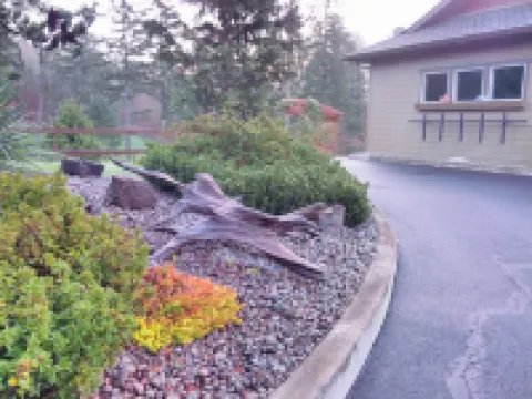 Bird Lover’s Paradise