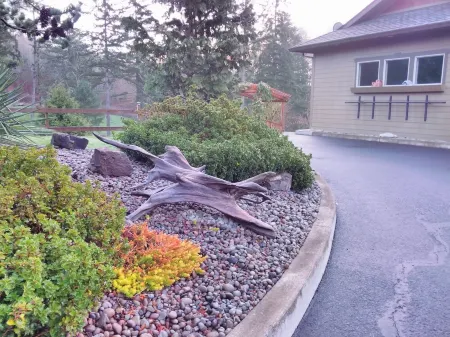 Bird Lover’s Paradise