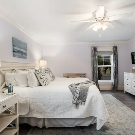 Dragonfly - Southern charm on the North end of Anna Maria Island