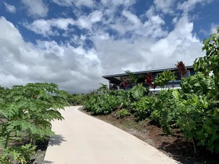 Gorgeous Ocean View, Comfortable Cool Elevation, Close to Everything!