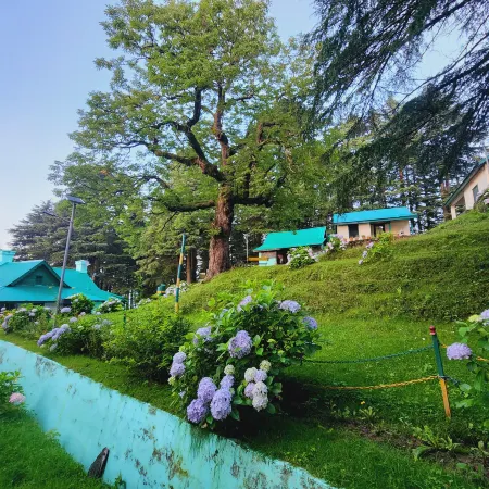 Forest Vibes Kalatop Rooms Restaurant