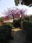 Atena Apartments Agrigento Centro - Apartments