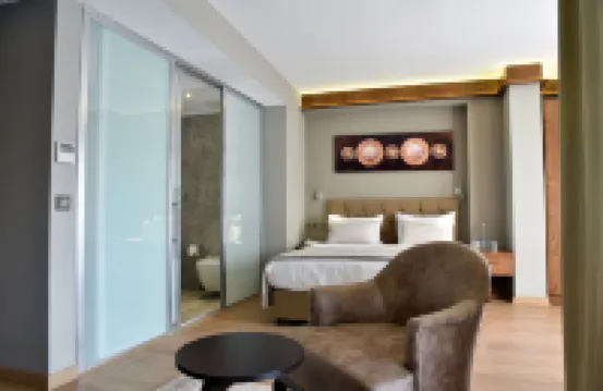 The Elegant Hotel Hotels near Halic Congress Center