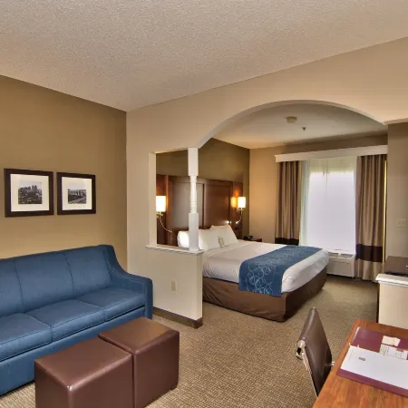 Comfort Suites Scranton Near Montage Mountain