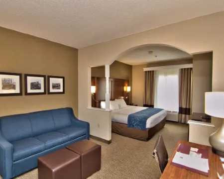 コンフォート スイーツ スクラントン ニア モンタージュ マウンテン ムージックのホテル