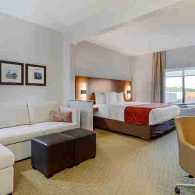 Comfort Suites la Porte - Baytown Rooms