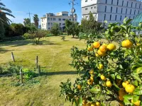 Haeansung Pension - Pet friendly