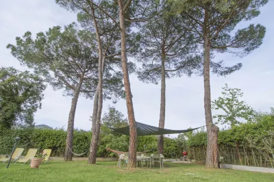 B&B Palazzi Hotels in Rifredi