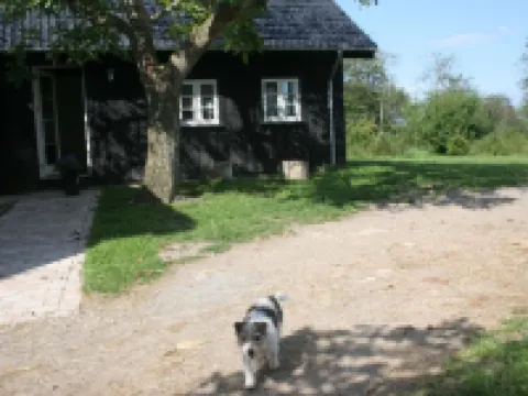 Teglgaarden Bed and Breakfast Hotels near Valdemars Slot