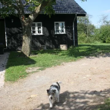 Teglgaarden Bed and Breakfast