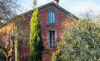 Wine Tourism - Quinta do Ameal