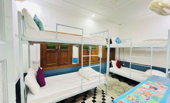 Jaisalmer Hostel Crowd