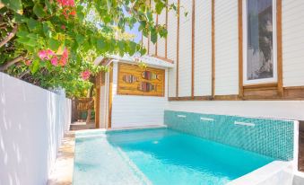 Wow! Views and More, Fantastic 2 Bedroom in West End - Villa Agua Apts