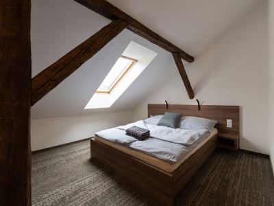 Apartsee Wellness Plzeň