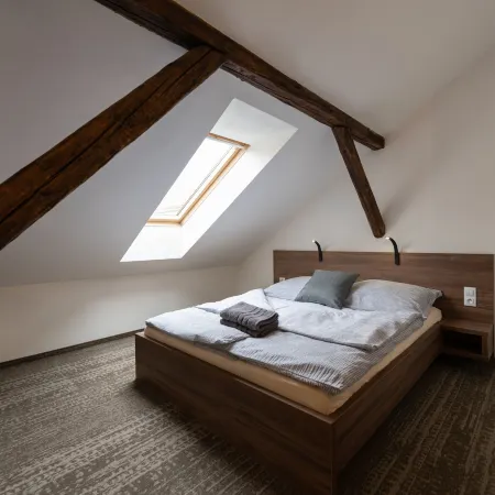 Apartsee Wellness Plzeň