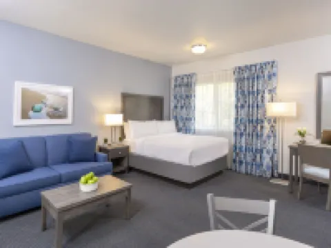 Beachfront Inn and Suites at Dana Point Hotels in Dana Point