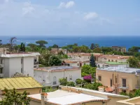 De Vivo Realty - la Nave del tè - Boutique