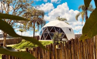 Rua José Joaquim Nogueira