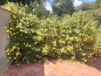 Alvorecer do Pepê Hotels in Confins