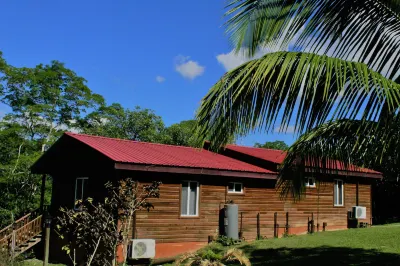 The Log Cab-Inn Hotels in Bullet Tree Falls