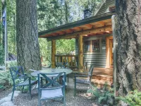 Charming Vintage Cabin with Forest Views - Cozy Retreat Hotels in Mt Hood Village