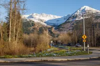 Cozy condo with great downtown location near biking, shopping, dining Hôtels à : Girdwood