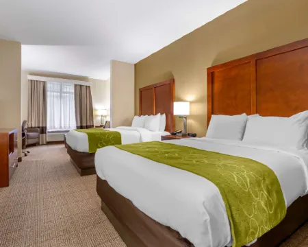 コンフォート スイーツ ブーン ブーンのホテル