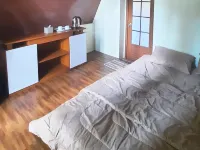 بيجار ريزورت بويرد باي كوكوتل