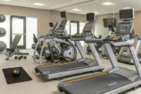SpringHill Suites โดย Marriott ซานดิเอโก้ Carlsbad