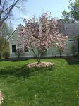 Montrose Farms Alpaca Ranch Hotels in Brownsburg