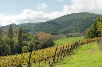 Farmhouse in Giano Dell'umbria with Hot Tub, Swimming Pool - Homestays