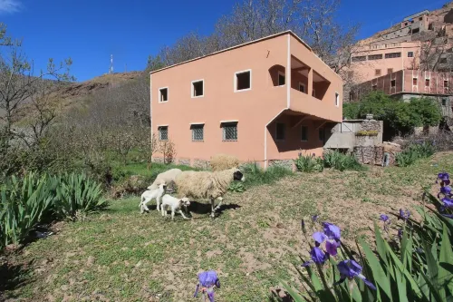 Dar Adouss Hotels in Tamatert