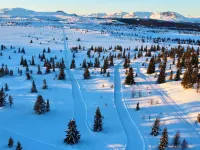 Modern Mountain Cabin - 3 Bedrooms - Sleeps 7 Hotel di Al