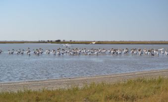 chobe sunset chalets