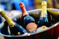 樂菲奇特酒店 - 酒吧