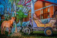 Hotel Viverra - Pet friendly