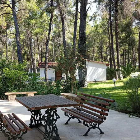 Family Villa in Sani - Sleeps 6 - Parking - Wifi