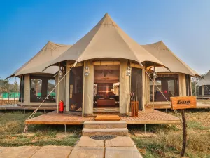 Sawai Shivir Ranthambore by Tutc