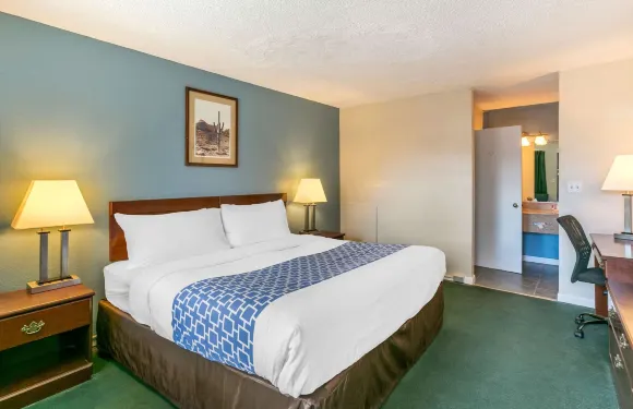 羅德威酒店(Rodeway Inn 羅林斯)