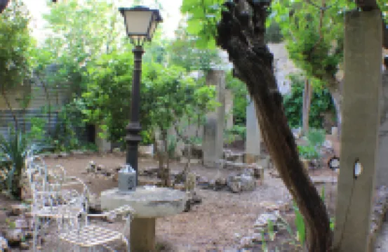 加爾西納洛伯爵宮民宿 酒店