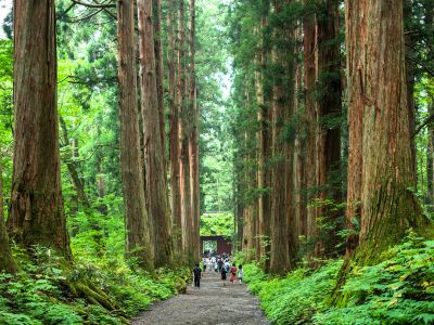 ホテル周辺 旅館 おかやまの写真