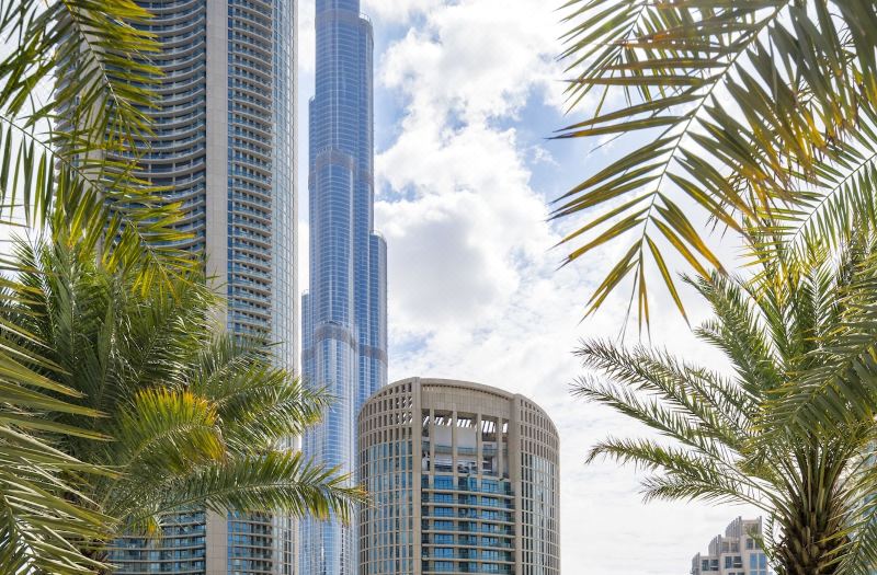 Sofitel Dubai Downtown photo 3