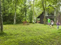 Rockwood Karkloof Forest Lodge & Mountain Cabin Hotels in Howick