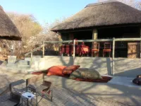 Thulani Game Lodge and Eco Estate فنادق في Thabazimbi