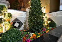 Hyde Park Apartments Hotels in London