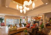 Hilton Garden Inn Flagstaff