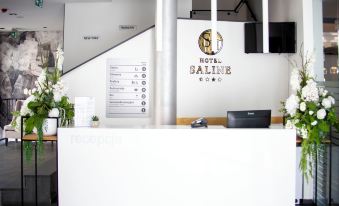 Hotel Saline