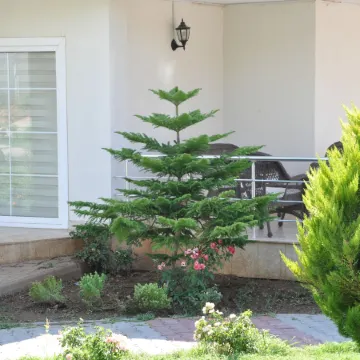 Akbuk Palace Hotel & Residence